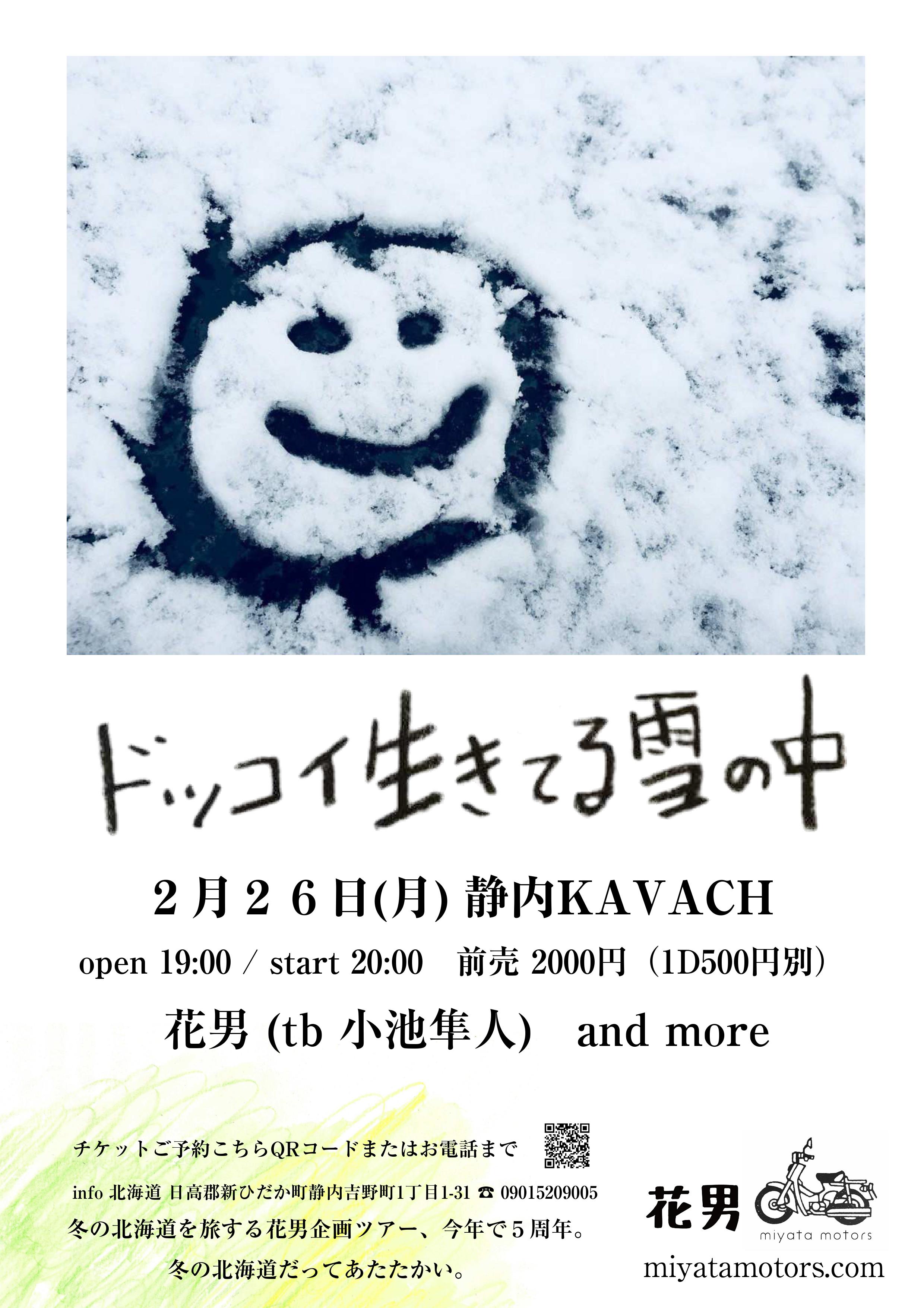 2 26 月 静内 Kavachにてライブ決定 花男オフィシャルホームページ