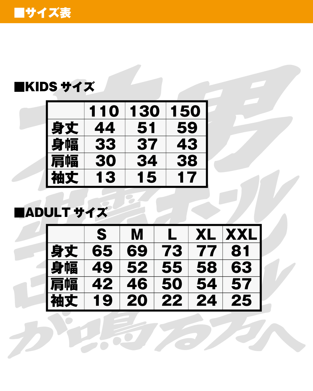 宮田モータース / 出雲のホールワンマン応援Tシャツ 